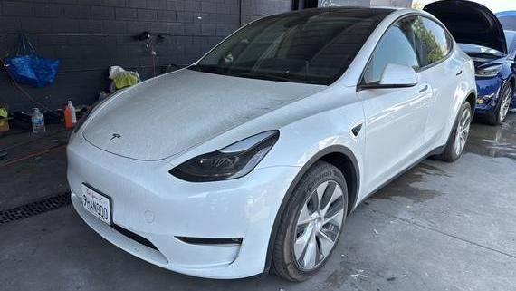 TESLA MODEL Y 2023 7SAYGDEE8PF815233 image